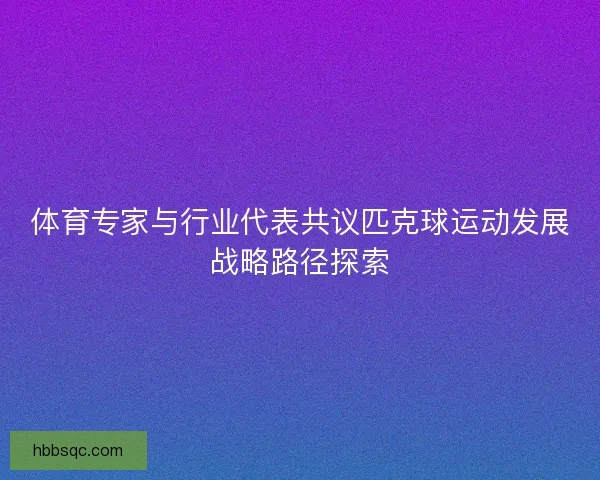 体育专家与行业代表共议匹克球运动发展战略路径探索