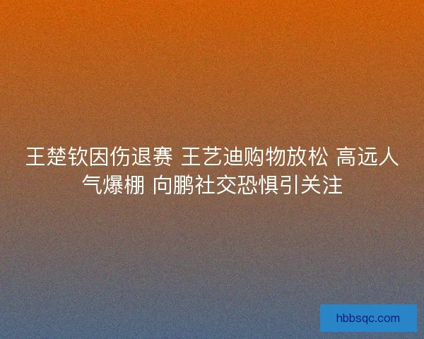 王楚钦因伤退赛 王艺迪购物放松 高远人气爆棚 向鹏社交恐惧引关注