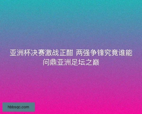 亚洲杯决赛激战正酣 两强争锋究竟谁能问鼎亚洲足坛之巅