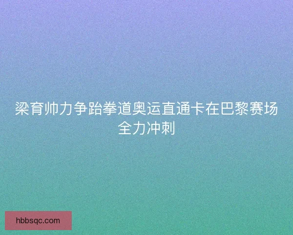 梁育帅力争跆拳道奥运直通卡在巴黎赛场全力冲刺