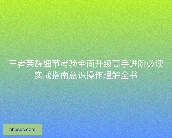 王者荣耀细节考验全面升级高手进阶必读实战指南意识操作理解全书